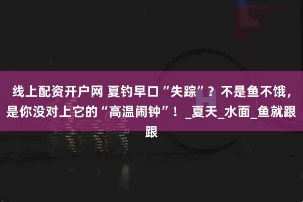 线上配资开户网 夏钓早口“失踪”？不是鱼不饿，是你没对上它的“高温闹钟”！_夏天_水面_鱼就跟