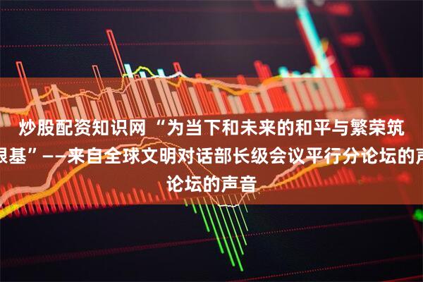 炒股配资知识网 “为当下和未来的和平与繁荣筑牢根基”——来自全球文明对话部长级会议平行分论坛的声音