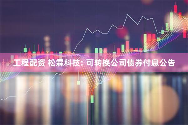 工程配资 松霖科技: 可转换公司债券付息公告