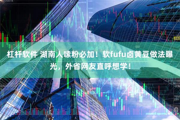 杠杆软件 湖南人嗦粉必加！软fufu卤黄豆做法曝光，外省网友直呼想学！