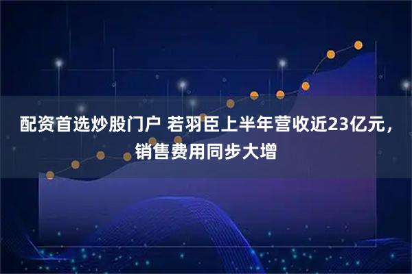 配资首选炒股门户 若羽臣上半年营收近23亿元，销售费用同步大增